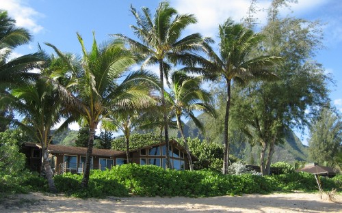 Image palm trees near brown wooden house under blue sky during daytime