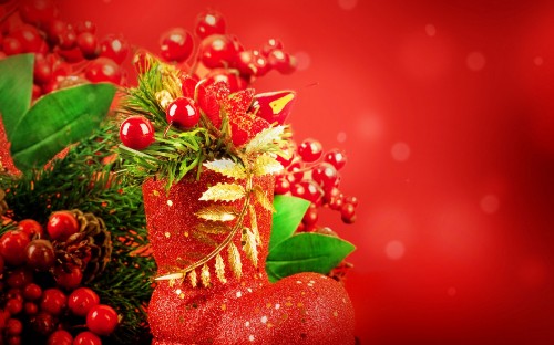 Image Christmas Day, new year, berry, christmas decoration, fruit