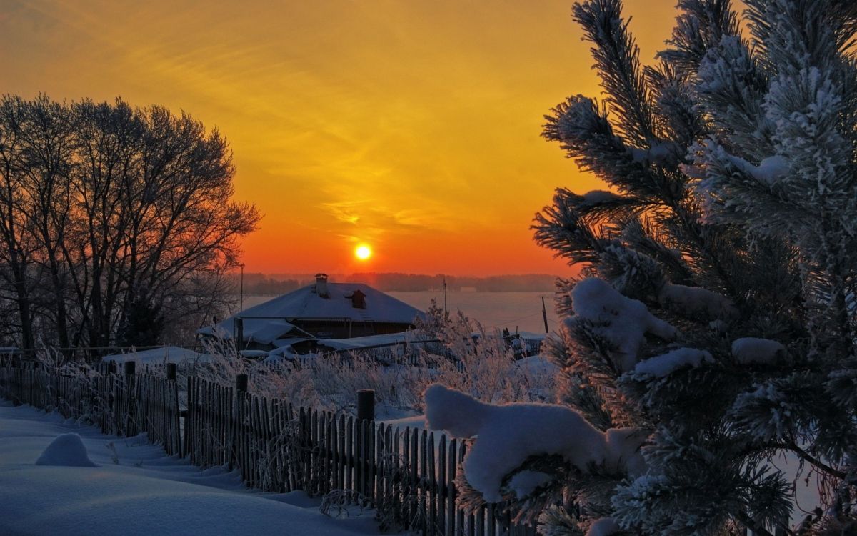 white sheep on snow covered ground during sunset