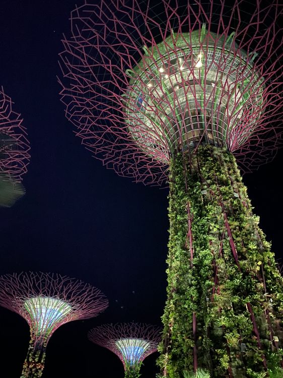 singapore, nature, tourist attraction, biology, physics