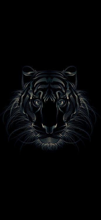 Poster, Kunst, Vogelplakatdruck, Displate, Felidae. Wallpaper in 1080x2340 Resolution