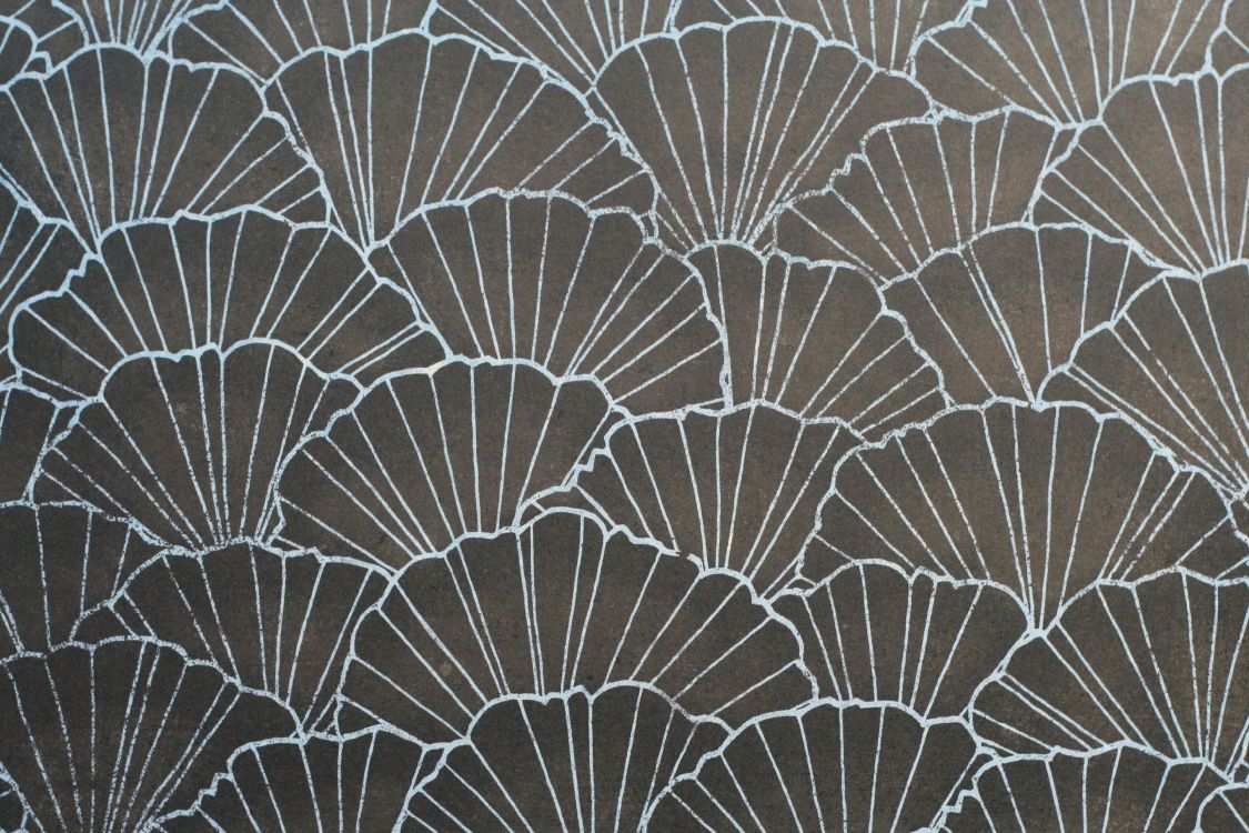 图案, 黑色和白色的, 工厂, 纹理, 日本 壁纸 3456x2304 允许