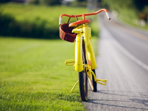 Image red and yellow bicycle on green grass field during daytime