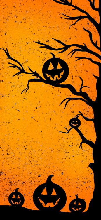 Halloween, Orange, Bernstein, Gelb, Vogel. Wallpaper in 1080x2340 Resolution