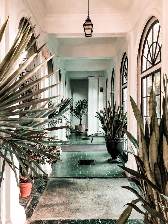 interior design, plant, property, picture frame, light