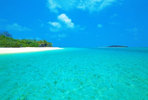 Image green trees on island under blue sky during daytime