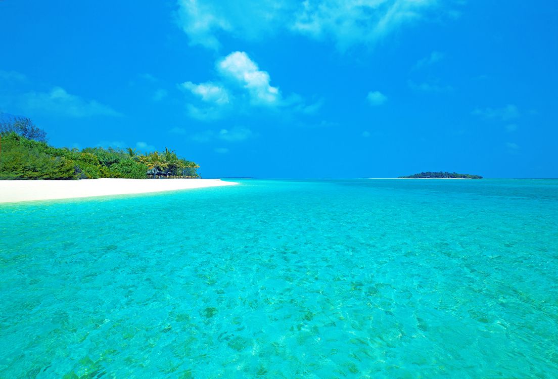 green trees on island under blue sky during daytime