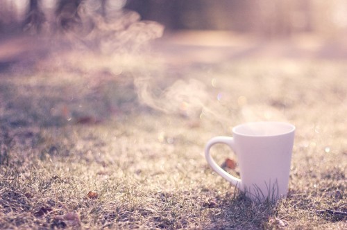 Image cup, coffee cup, morning, teacup, sunlight