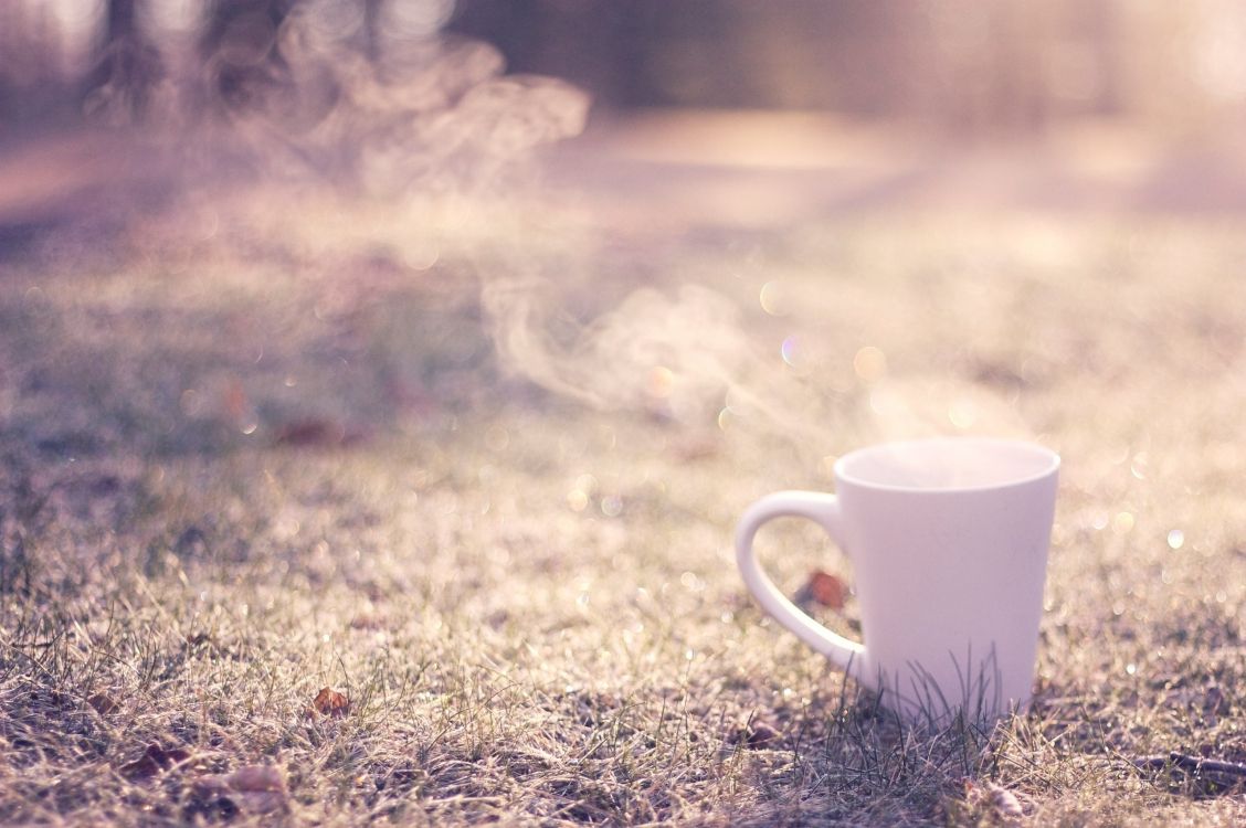 cup, coffee cup, morning, teacup, sunlight