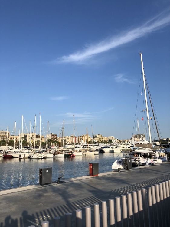 marina, water, watercraft, waterway, boat