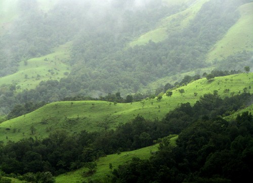 Image green grass field and mountain