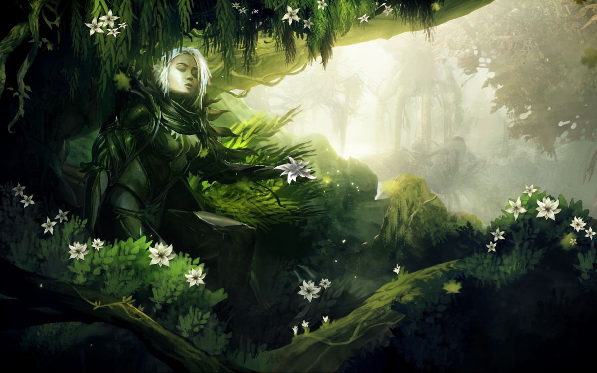 Guild Wars 2, Arenanet, Naturaleza, Verde, la Vegetación. Wallpaper in 1920x1200 Resolution
