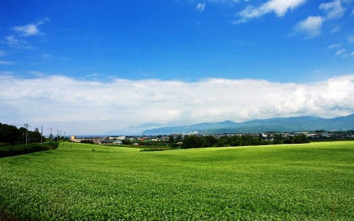 Image green grass field under blue sky during daytime