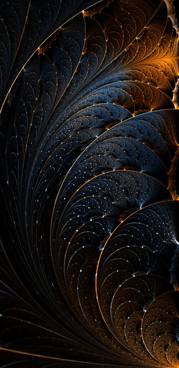 Image brown and black plant leaves