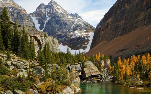 Image green pine trees near lake and mountain