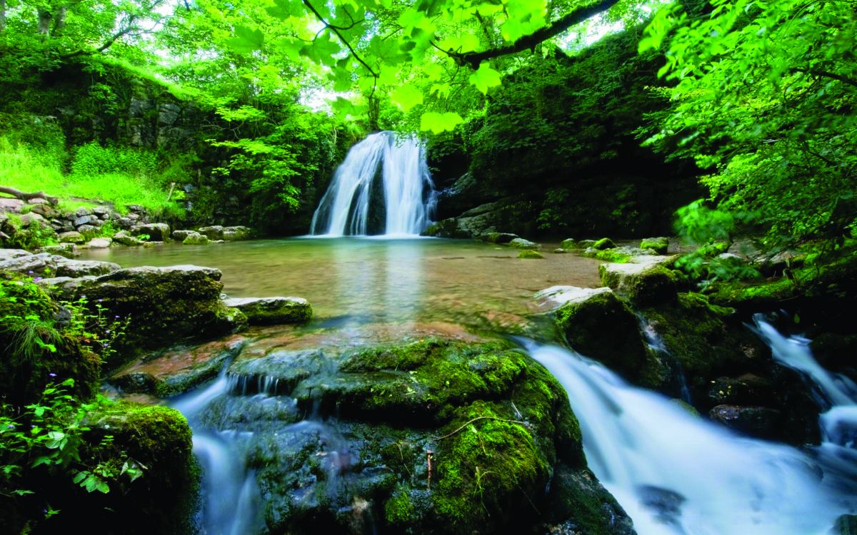 Musgo Verde Sobre Rocas Frente a Cascadas. Wallpaper in 2560x1600 Resolution