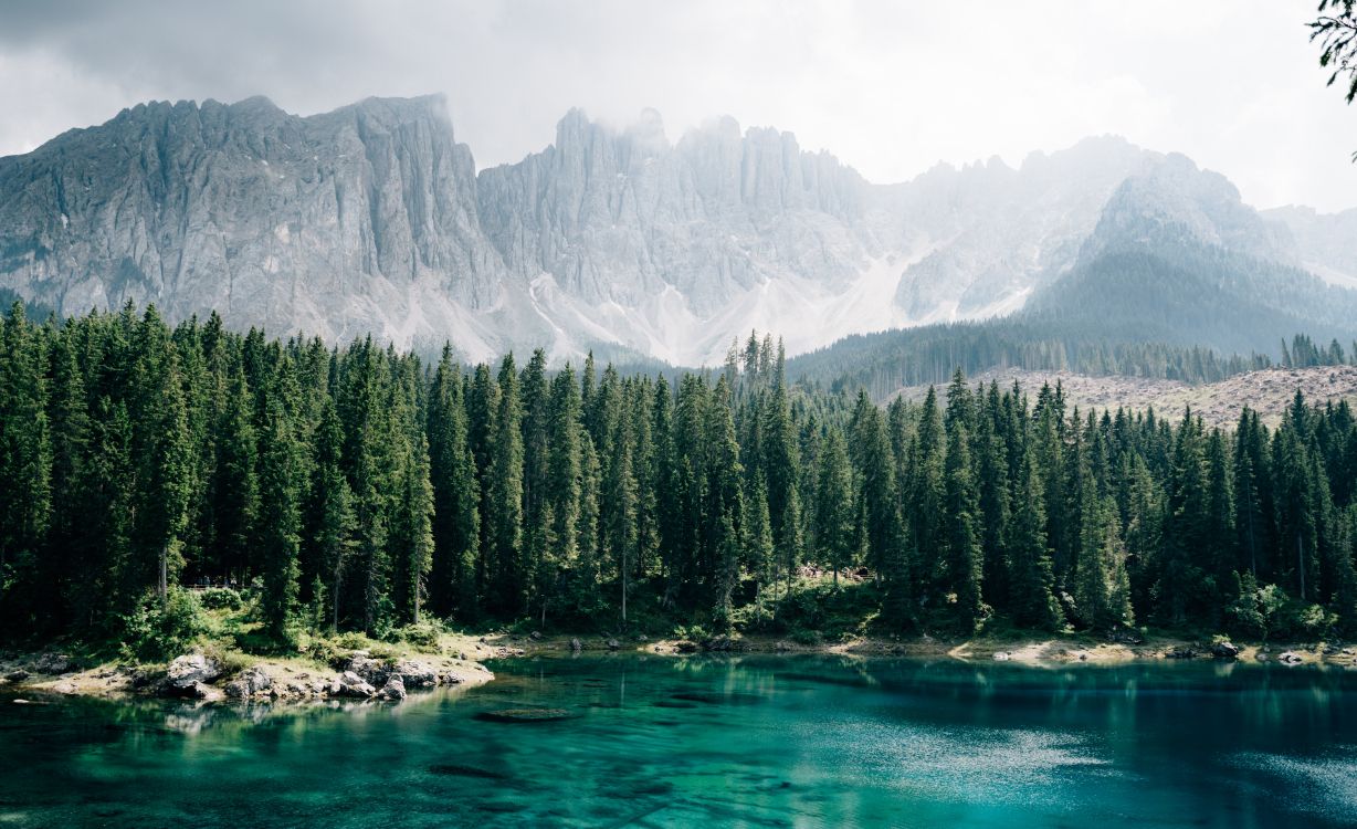 Karersee, Nadelbaum, Mount Scenery, Gletschersee, Natur. Wallpaper in 5489x3350 Resolution