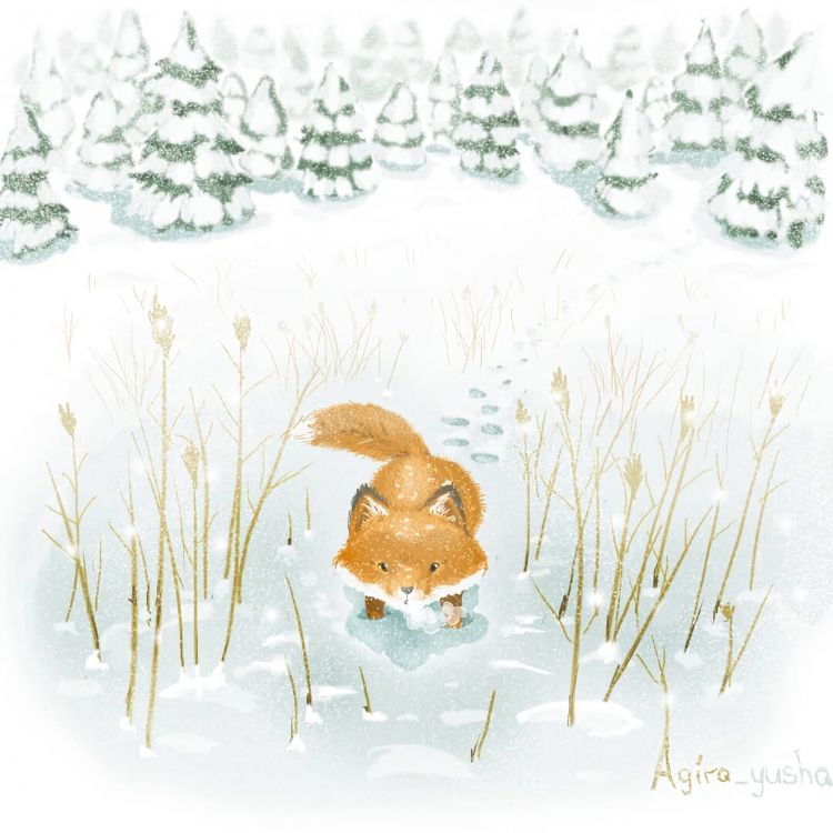 Oso Pardo en Suelo Cubierto de Nieve. Wallpaper in 2160x2160 Resolution