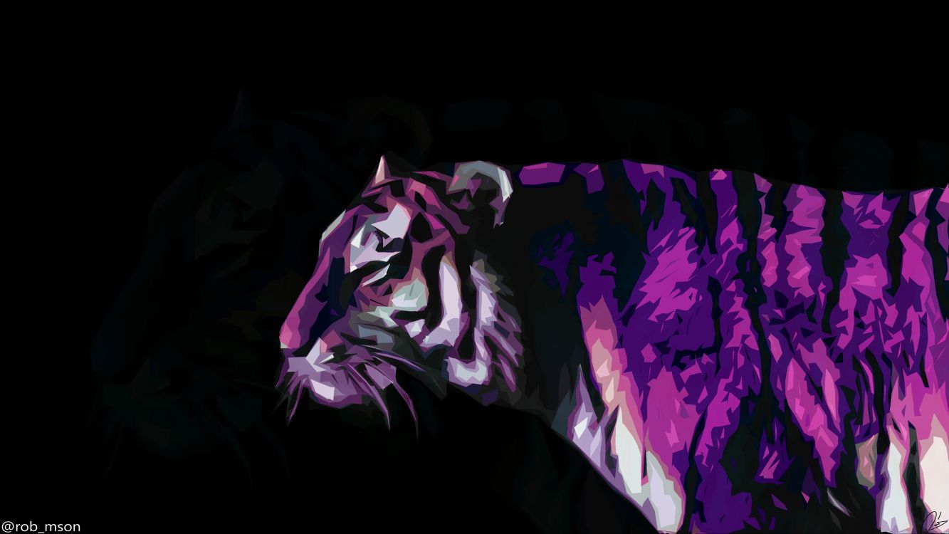 紫色的, 套, 紫罗兰色, 猫科, 品红色 壁纸 3840x2160 允许