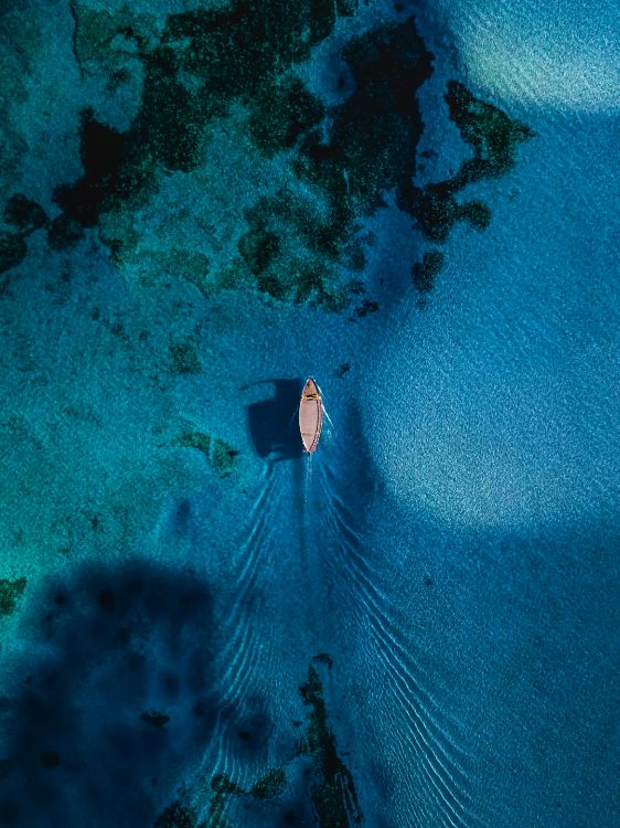 水下, 大海, 水资源, 性质, Azure 壁纸 2767x3692 允许
