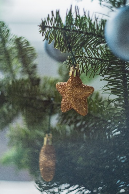 Image gold angel ornament on green pine tree