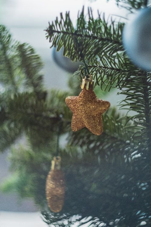 gold angel ornament on green pine tree