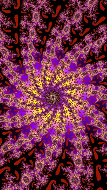 Image black and pink floral textile