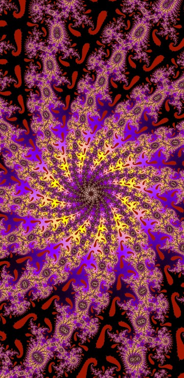 Image black and pink floral textile