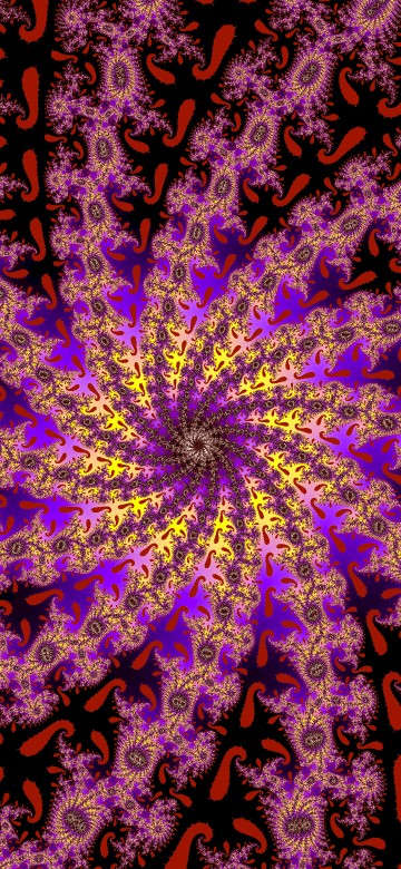 Image black and pink floral textile