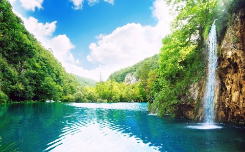 Image green trees beside river under blue sky during daytime