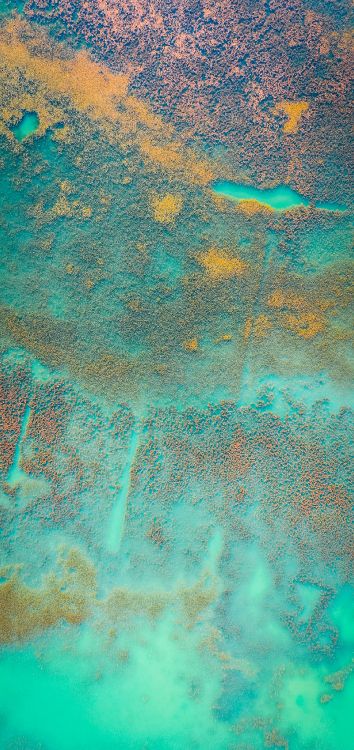 Agua, Verde, Azure, Aqua, Patrón. Wallpaper in 1514x3200 Resolution