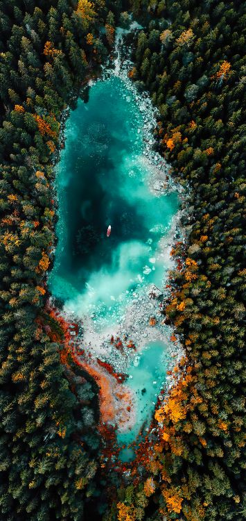 Malerei, Eibsee, Wasserressourcen, Wasser, Natur. Wallpaper in 1422x3000 Resolution