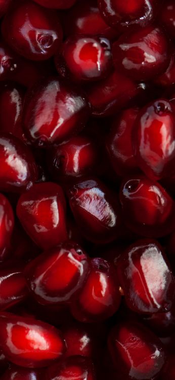 Chinesisches Palastrestaurant, Schildmann Friseure, Lebensmittel, Zutat, Natürliche Lebensmittel. Wallpaper in 1080x2340 Resolution