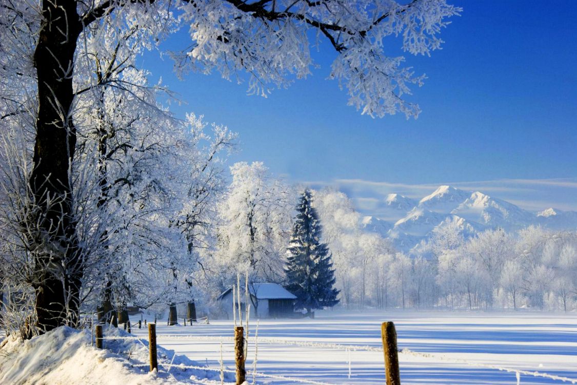Árboles Cubiertos de Nieve y Montañas Bajo un Cielo Azul Durante el Día. Wallpaper in 4000x2666 Resolution
