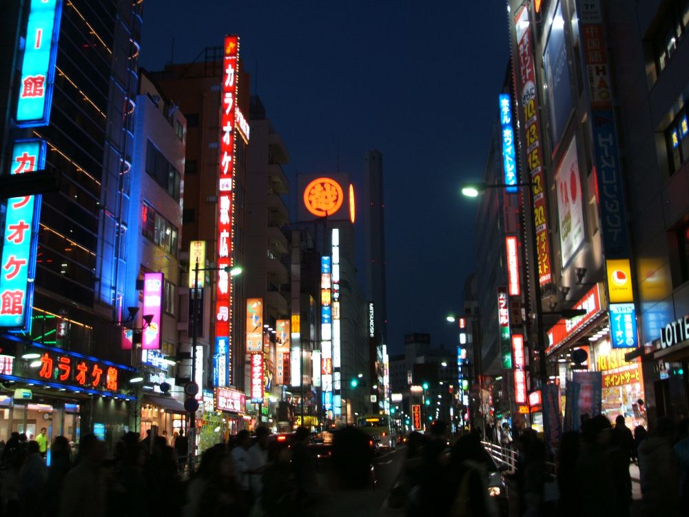 cars parked on side of the road in city during night time