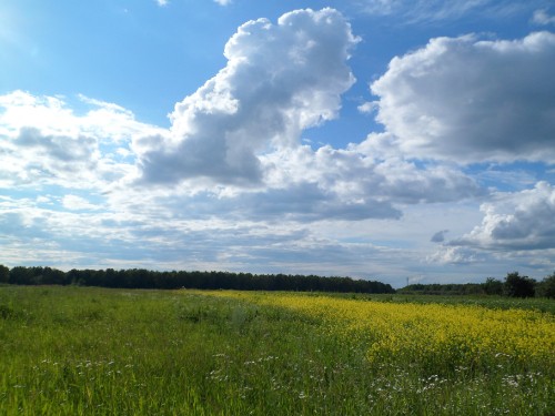 Image green grass field under white clouds and blue sky during daytime