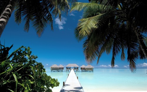 Image white wooden dock on beach during daytime