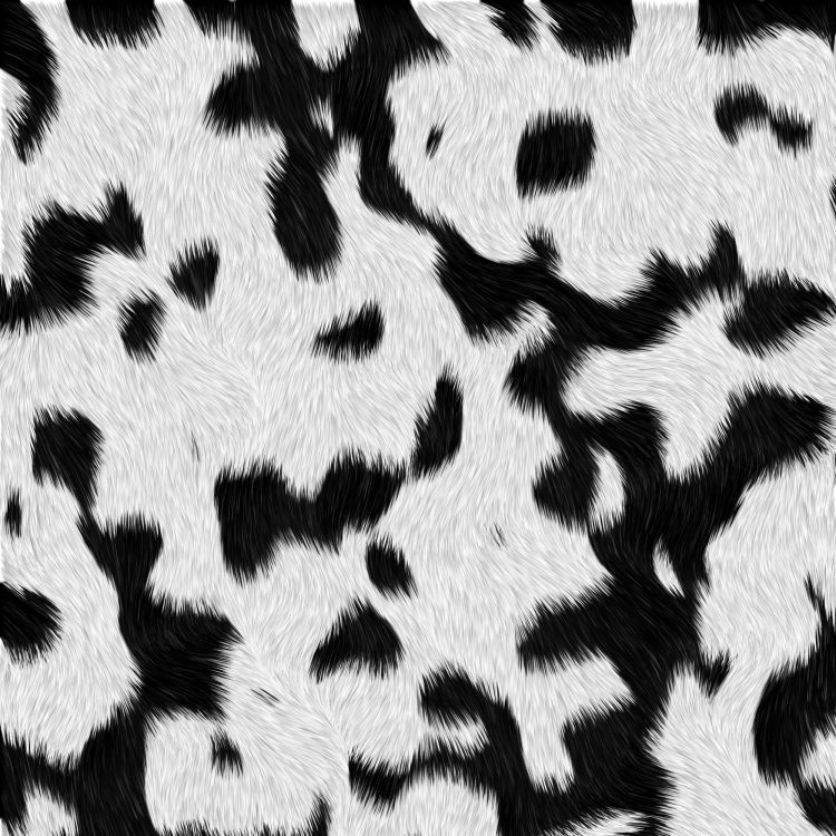 Textil de Leopardo Blanco y Negro. Wallpaper in 2000x2000 Resolution