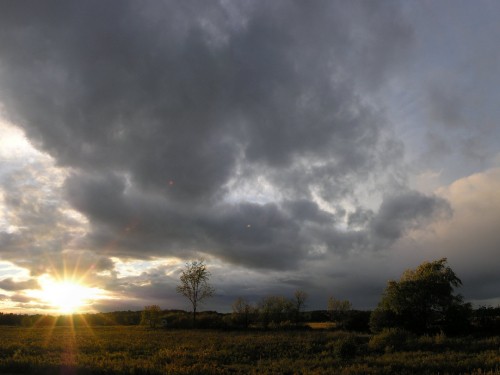 Image green grass field under gray clouds during daytime