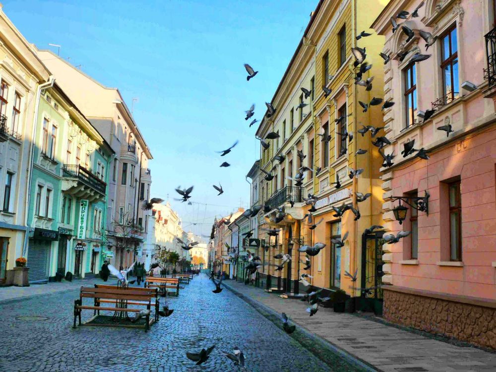 利沃夫, 街区, 街, 城市, 巷子里 壁纸 3000x2250 允许