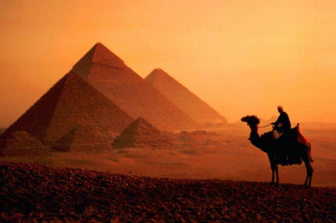 开罗, 尼罗河, 金字塔, 阿拉伯骆驼, 纪念碑 壁纸 2560x1700 允许