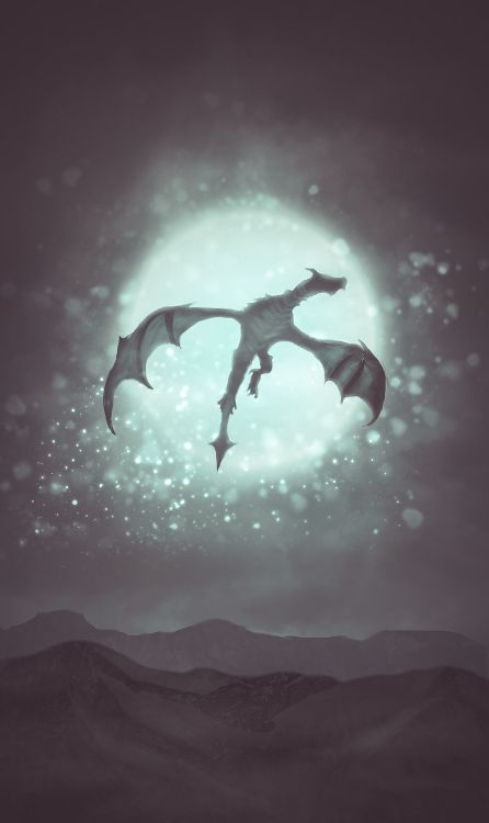 Silueta de Una Persona Saltando. Wallpaper in 1600x2686 Resolution