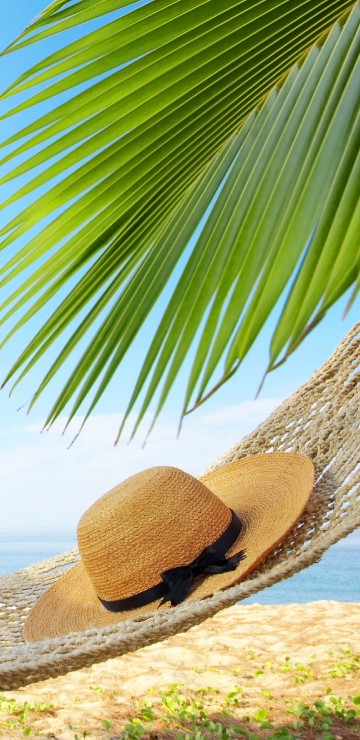Image brown straw hat on white sand near green palm tree during daytime