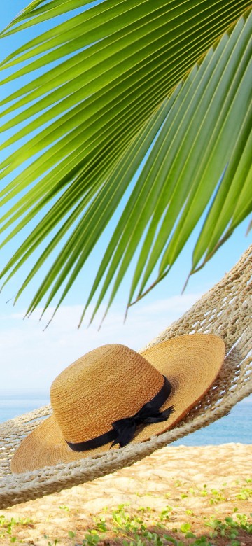 Image brown straw hat on white sand near green palm tree during daytime