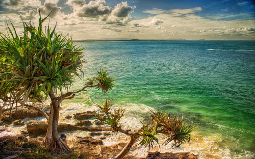 Image green palm tree near blue sea under blue sky during daytime