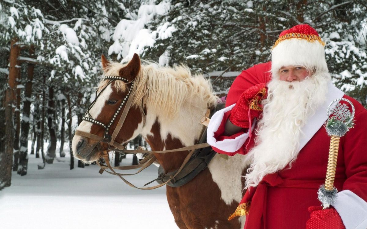 Arnés de Caballo, Navidad, Brida, Nieve, Caballo de la Tachuela. Wallpaper in 1920x1200 Resolution