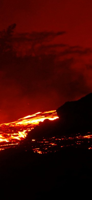 Image fire in the forest during night time
