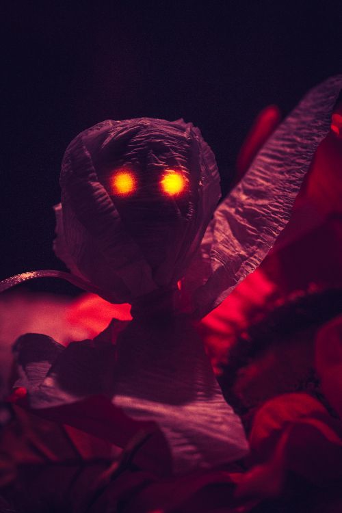 Persona Con Camisa de Manga Larga Roja Sosteniendo Una Linterna Encendida. Wallpaper in 3648x5472 Resolution