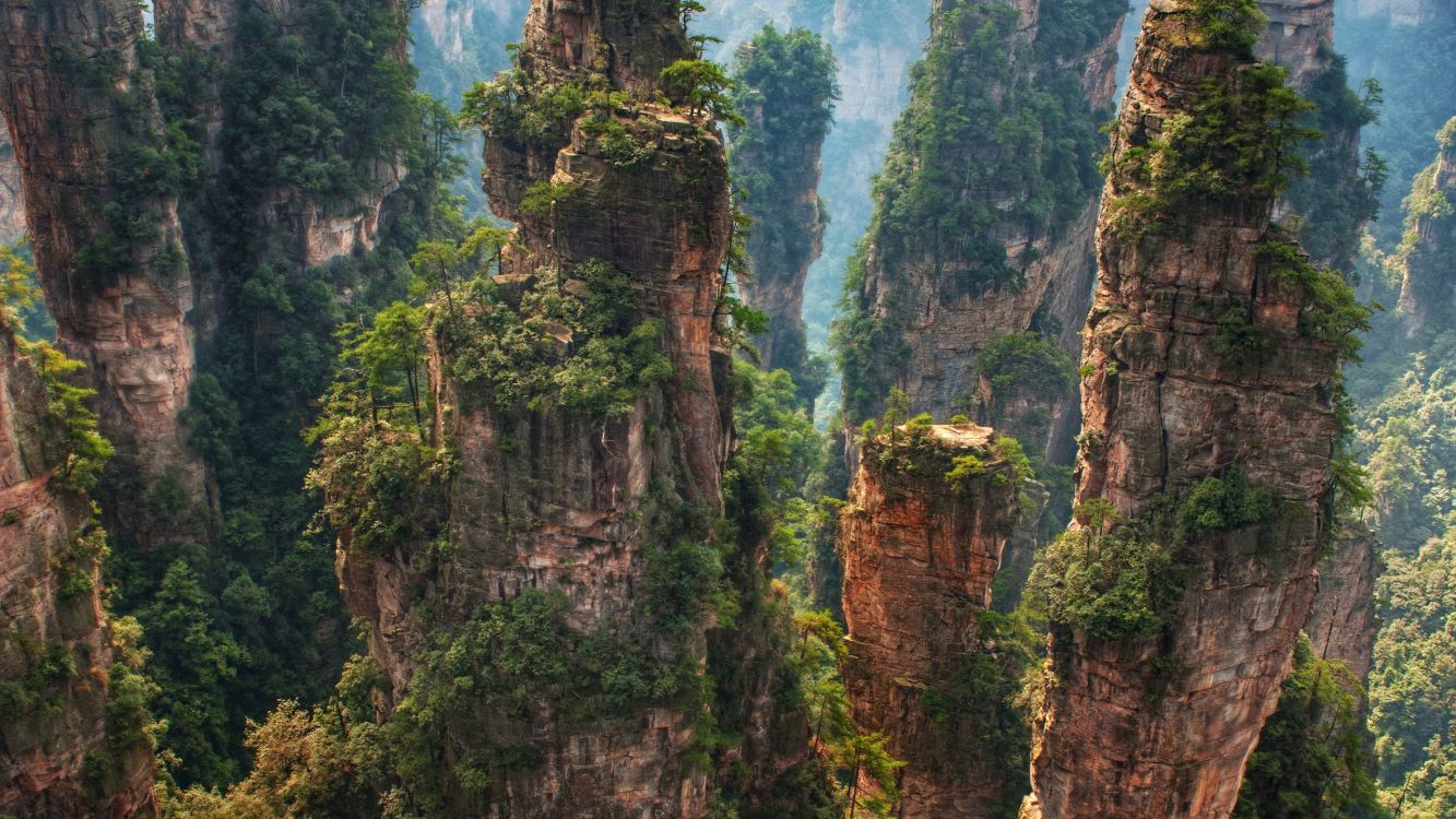 Montagne Rocheuse Verte et Brune. Wallpaper in 2560x1440 Resolution