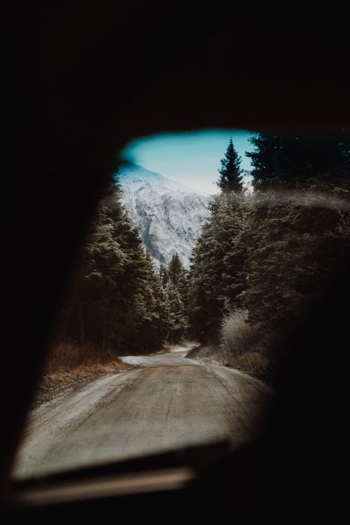 snow, tree, winter, darkness, road